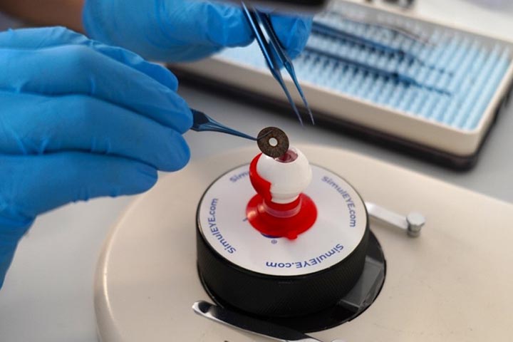 🔬 Praxisnahes Hands-on-Training